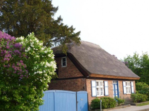 Alte Kate mit Bau-& Zirkuswagen im Gartenidyll in Putbus OT Kasnevitz